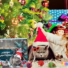 Dog Advent Calendar 2025