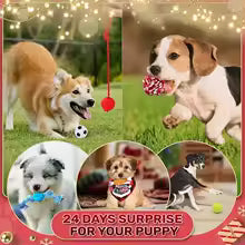 Dog Advent Calendar 2025